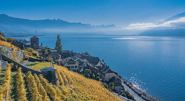 1649907675962 1649907675962