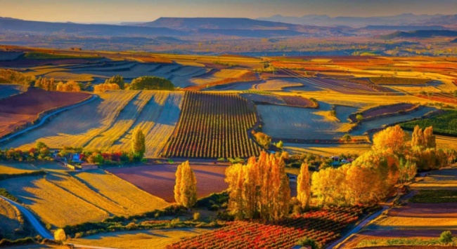 里奧哈產(chǎn)區(qū)風(fēng)景_650 里奧哈產(chǎn)區(qū)風(fēng)景_650