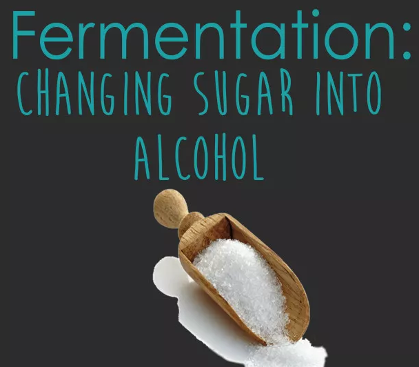 葡萄酒糖分越高,酒精度就越低?